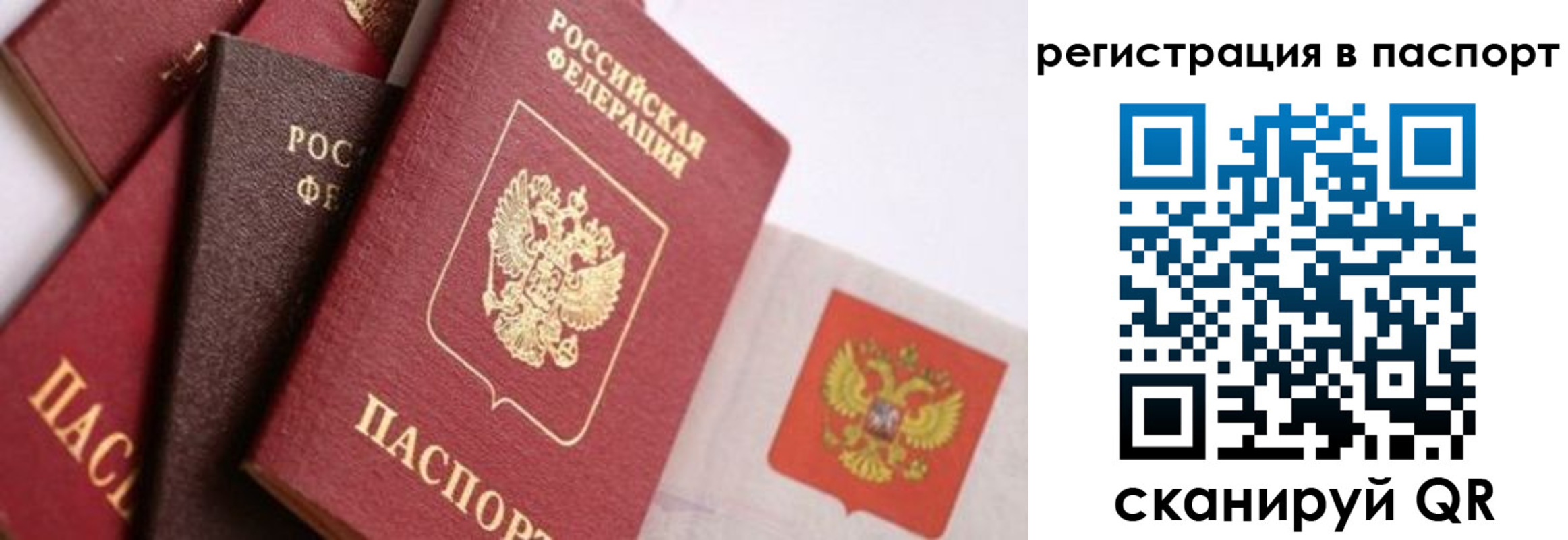 прописка в квартире в Зернограде